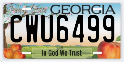 GA license plate CWU6499