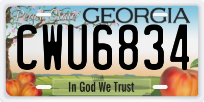GA license plate CWU6834