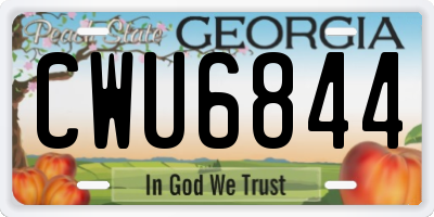 GA license plate CWU6844