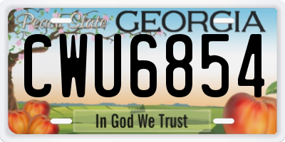GA license plate CWU6854
