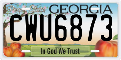 GA license plate CWU6873