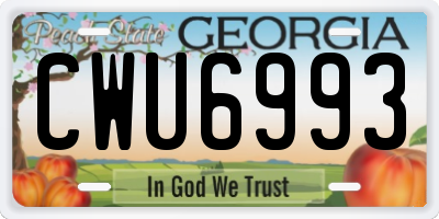 GA license plate CWU6993