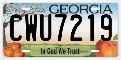 GA license plate CWU7219