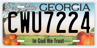 GA license plate CWU7224