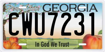 GA license plate CWU7231