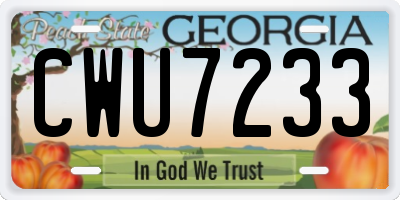 GA license plate CWU7233