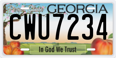 GA license plate CWU7234
