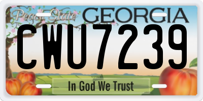 GA license plate CWU7239