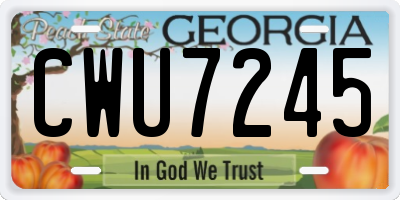 GA license plate CWU7245