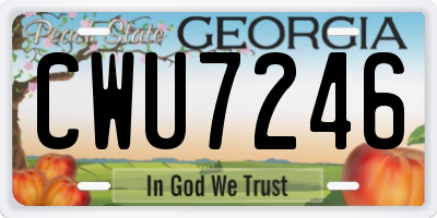 GA license plate CWU7246