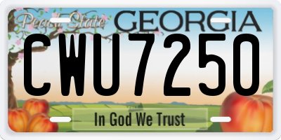 GA license plate CWU7250
