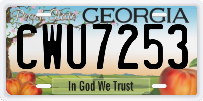 GA license plate CWU7253