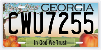 GA license plate CWU7255