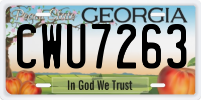 GA license plate CWU7263