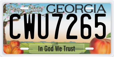 GA license plate CWU7265