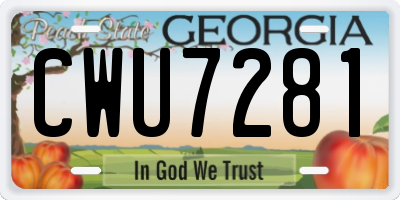 GA license plate CWU7281