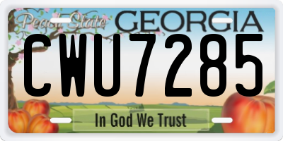 GA license plate CWU7285