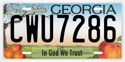 GA license plate CWU7286