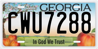 GA license plate CWU7288