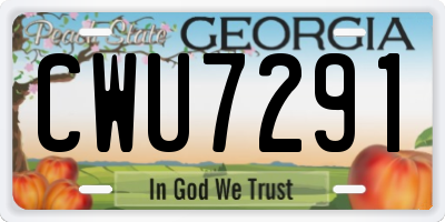 GA license plate CWU7291