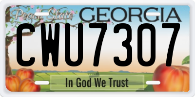 GA license plate CWU7307