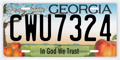 GA license plate CWU7324