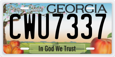 GA license plate CWU7337