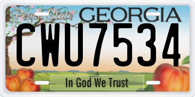 GA license plate CWU7534
