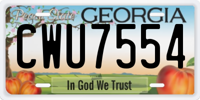 GA license plate CWU7554