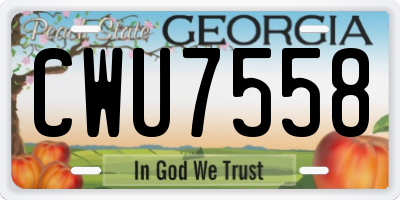 GA license plate CWU7558