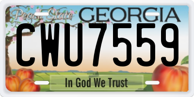 GA license plate CWU7559