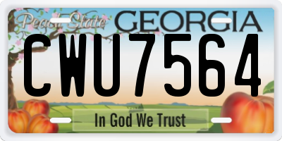 GA license plate CWU7564