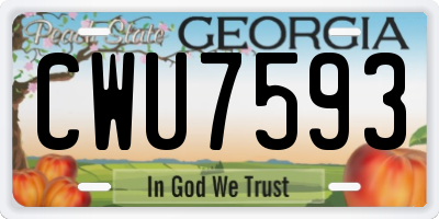 GA license plate CWU7593