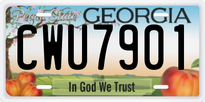 GA license plate CWU7901