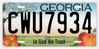 GA license plate CWU7934