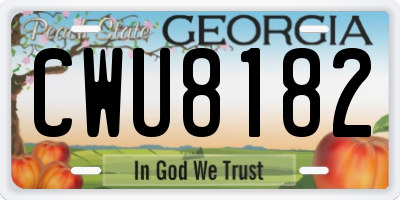 GA license plate CWU8182