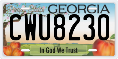 GA license plate CWU8230