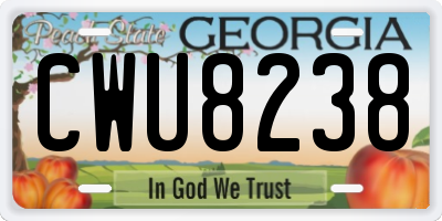GA license plate CWU8238