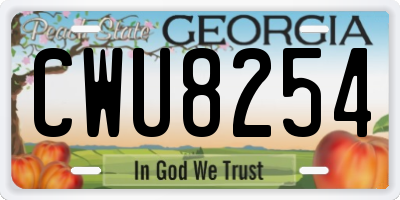 GA license plate CWU8254