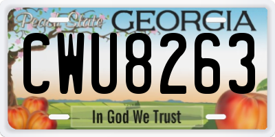 GA license plate CWU8263