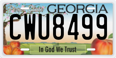 GA license plate CWU8499