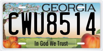 GA license plate CWU8514