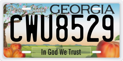 GA license plate CWU8529