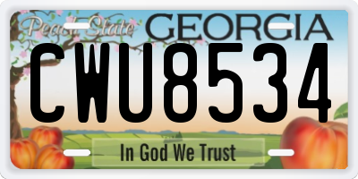 GA license plate CWU8534
