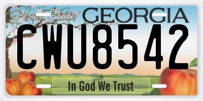 GA license plate CWU8542