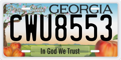 GA license plate CWU8553