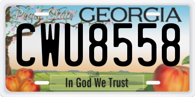 GA license plate CWU8558