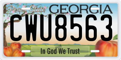GA license plate CWU8563