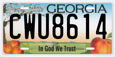 GA license plate CWU8614