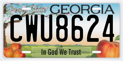 GA license plate CWU8624